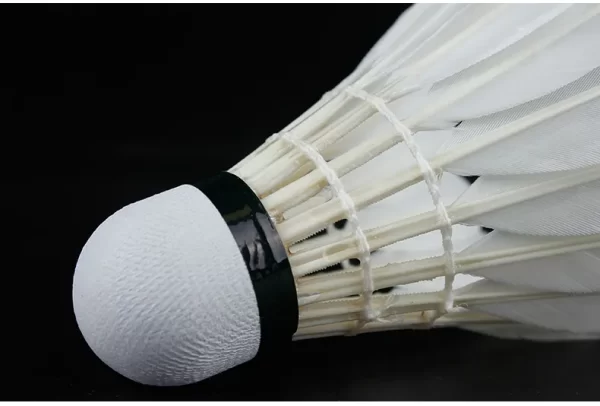 Lining D8 Shuttlecock - Image 4